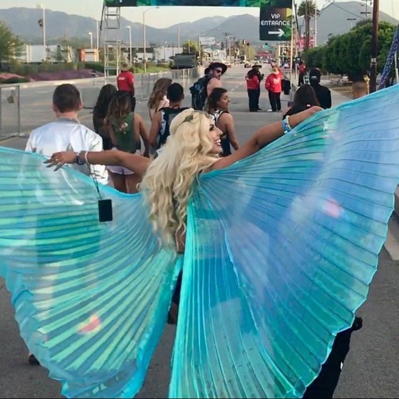 Festival WINGS - Picture 2 of 3